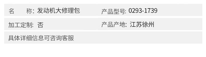 沃爾沃配件 發動機大修理包0293-1739